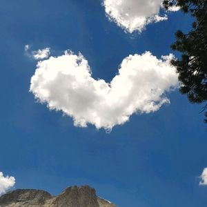 Meet your Posher, Gina Ray